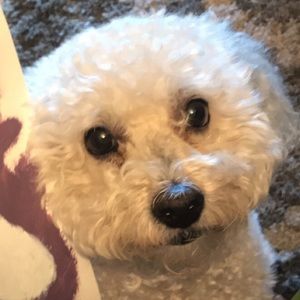 Meet your Posher, Lara